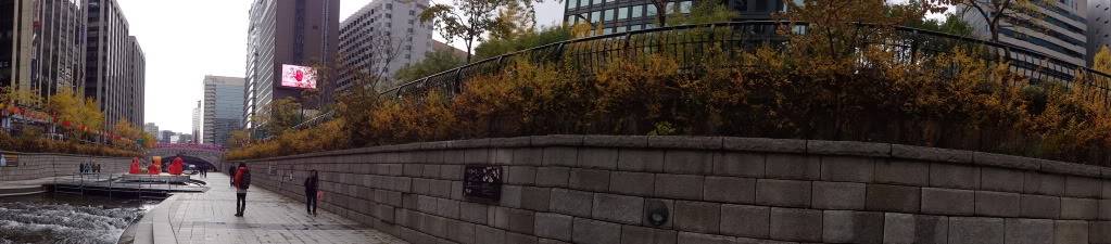 DSC00445.jpg