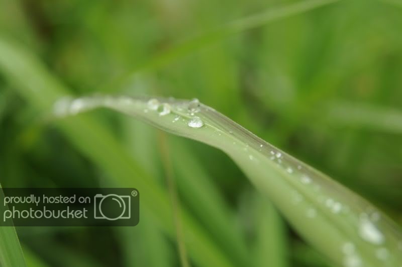 DSC_4615.jpg