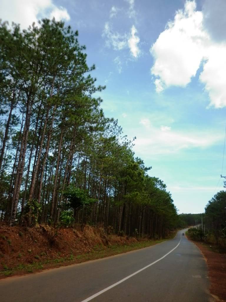 P1020140.jpg