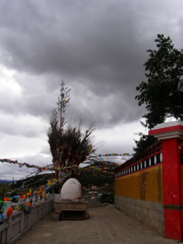 PA030151-1.jpg