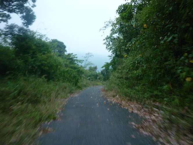 P1090367.jpg