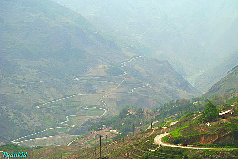 SDC16554.jpg