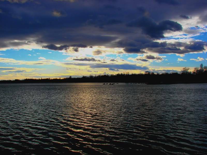 DSC01198a.jpg