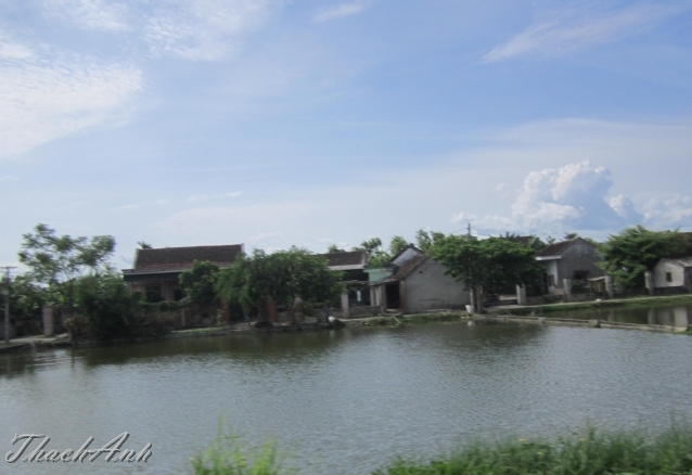 IMG_8312.jpg