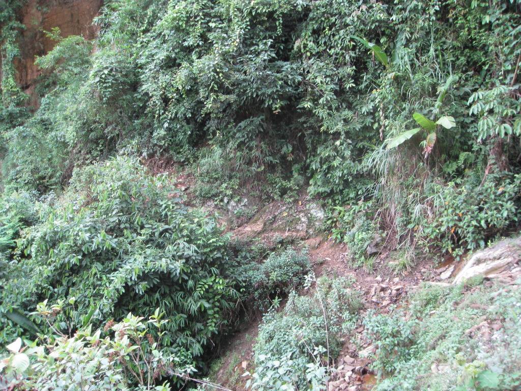 IMG_0025.jpg