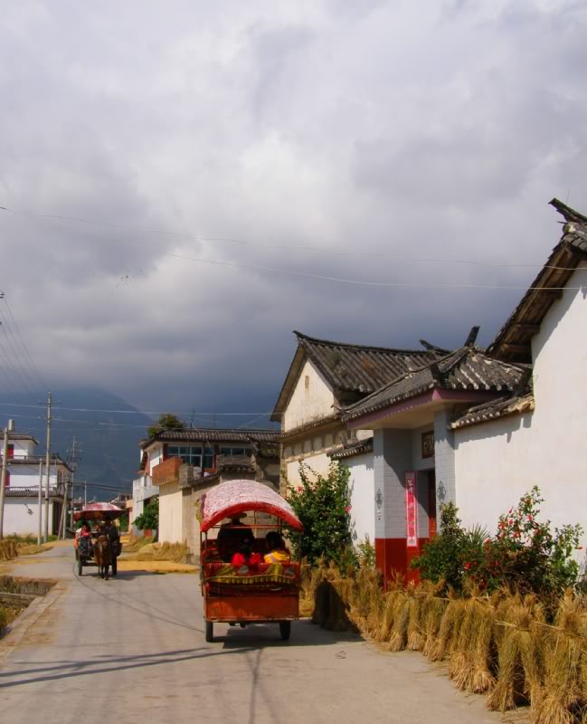 P9300106-1.jpg