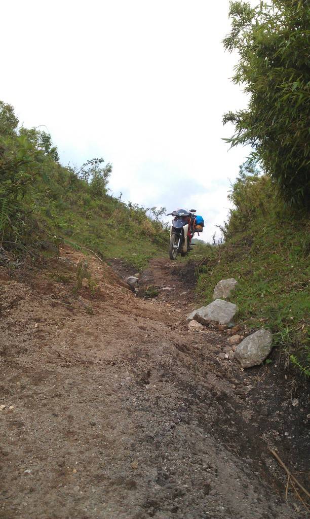 IMAG0214.jpg