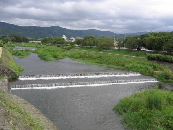 IMG_1013_resize.jpg