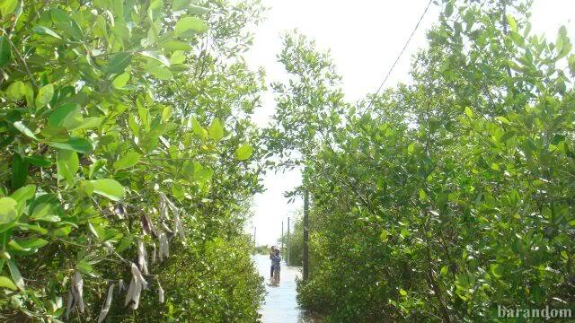 DSC08125.jpg