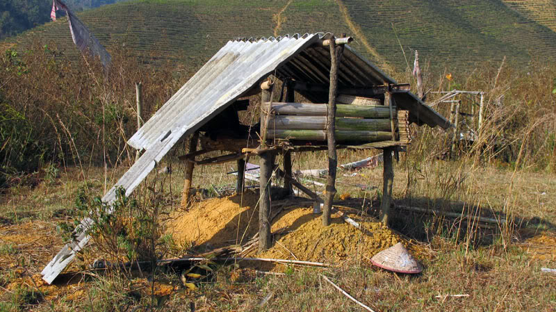 HongNgai2011105.jpg