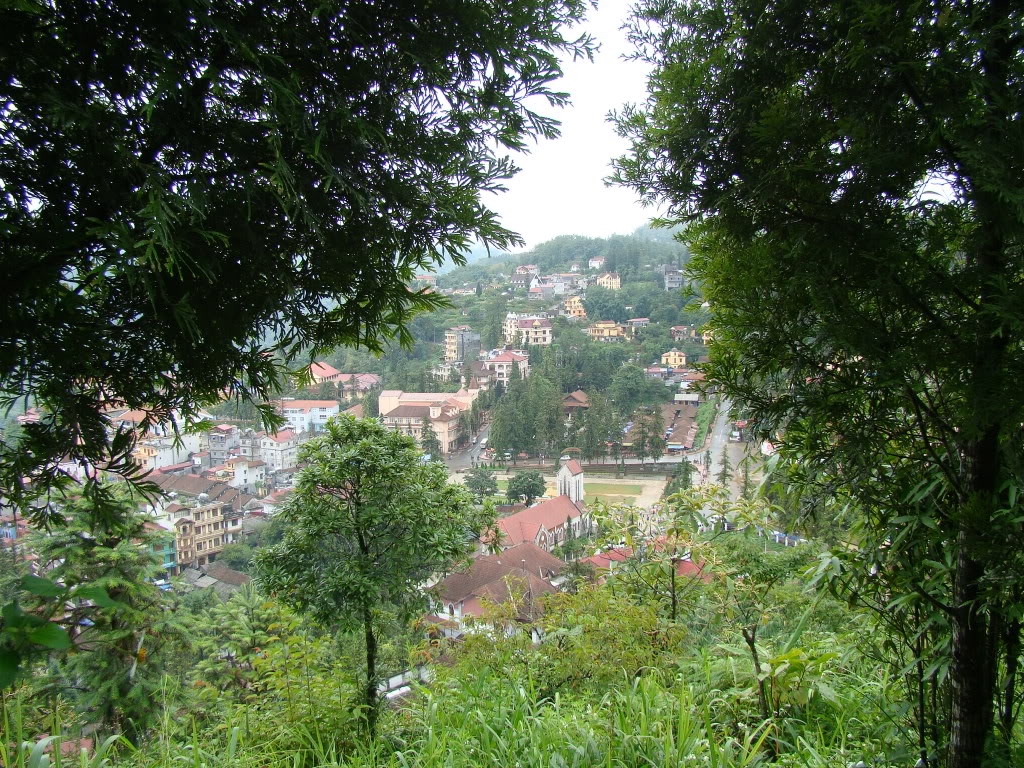 DSC09503.jpg