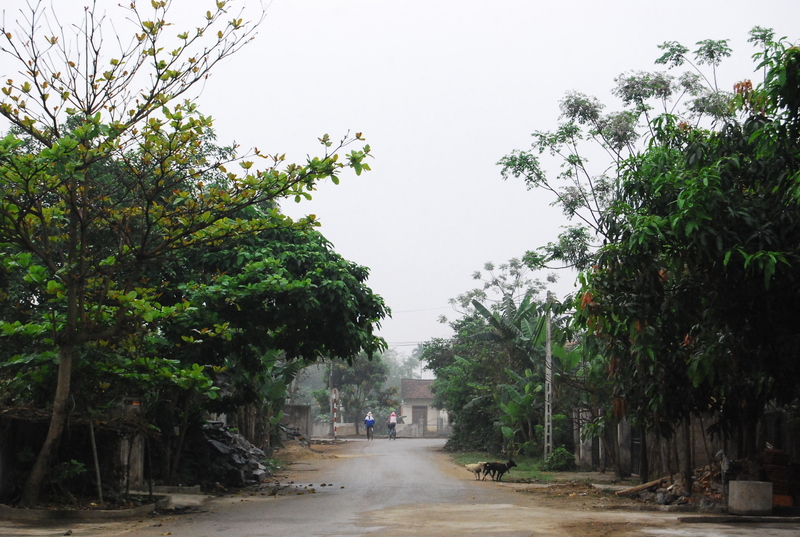 dsc7065.jpg