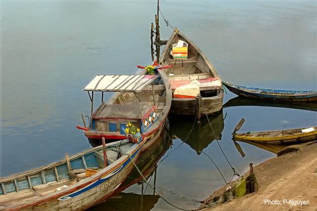 268.jpg