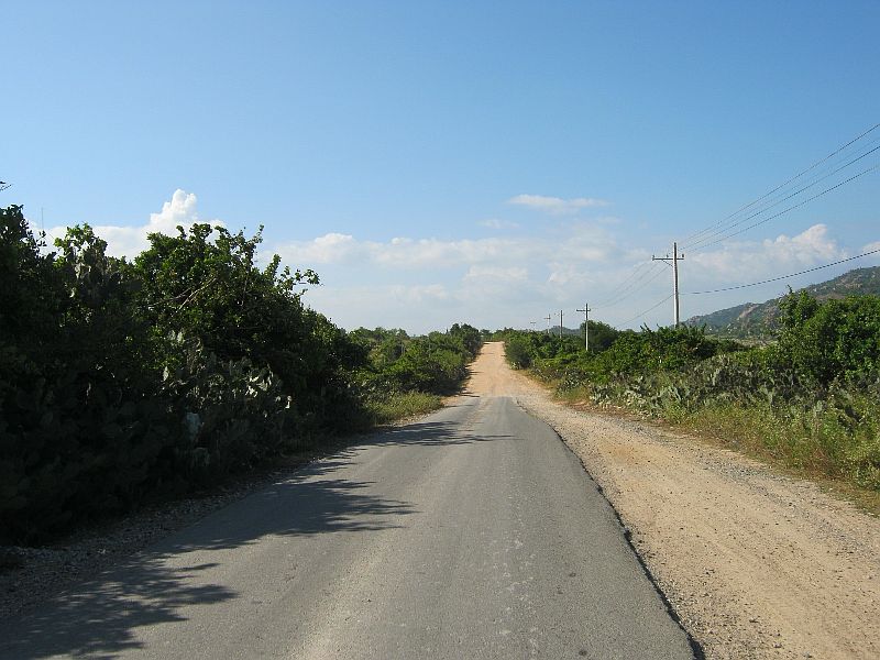 IMG_2246.jpg