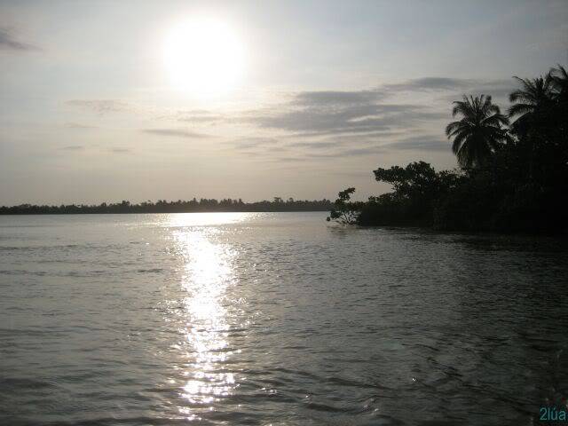 IMG_1292.jpg