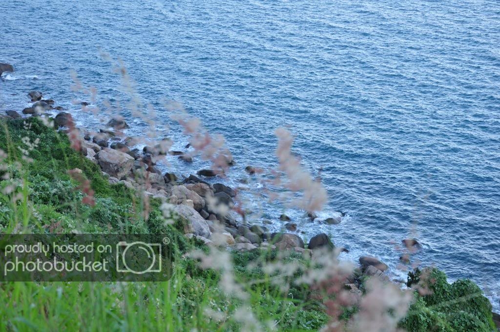 DSC_0111.jpg