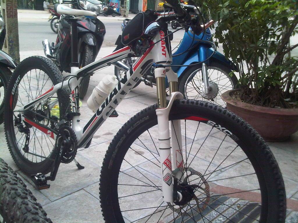 IMG-20120613-00415.jpg