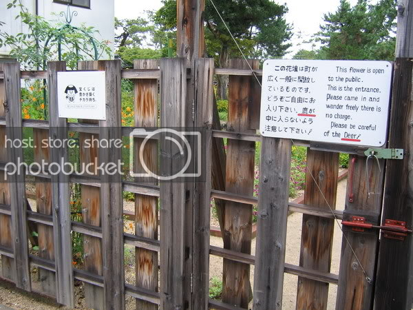 IMG_0990_resize.jpg