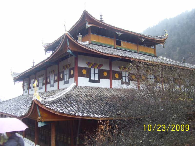 hoanglong101.jpg