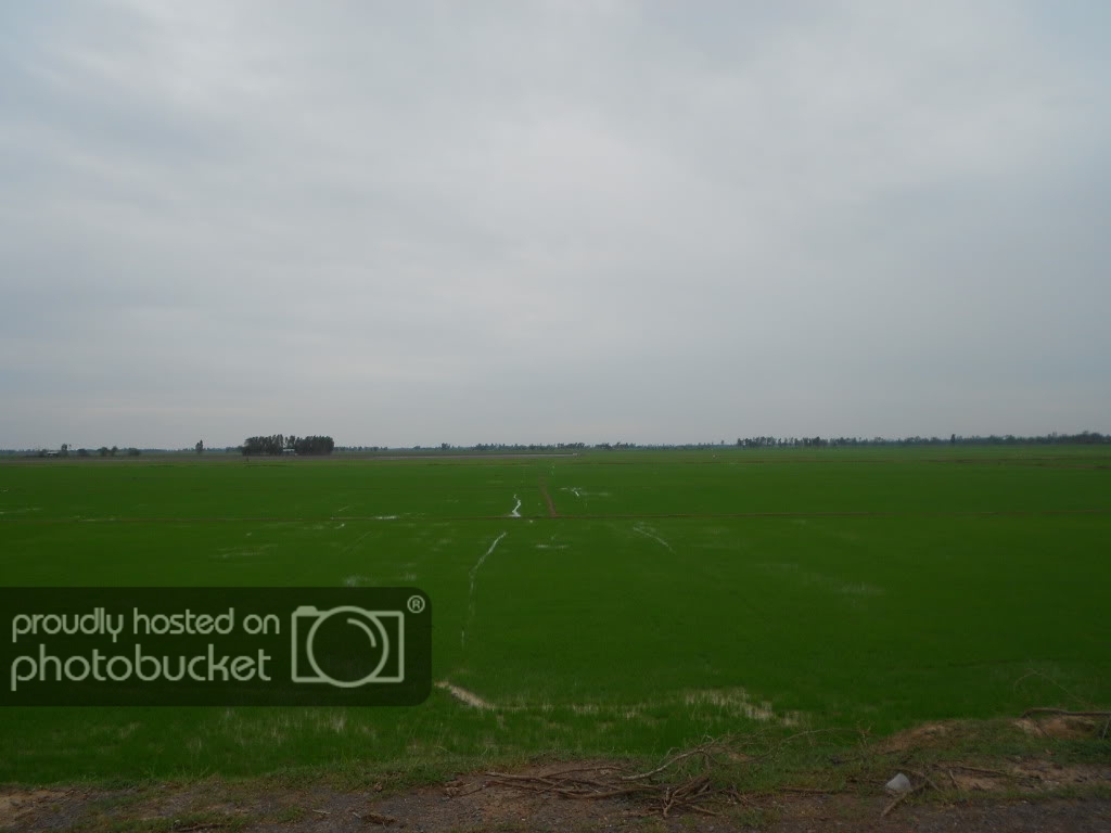 DSCN0677.jpg