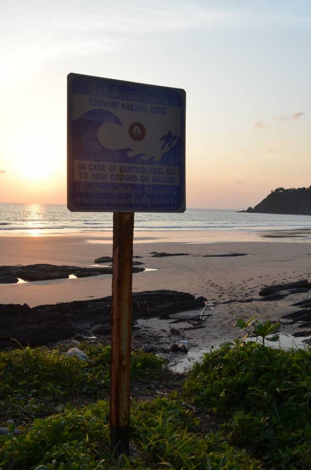 DSC_2397.jpg