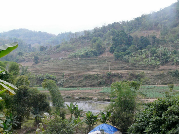 P1050495.JPG