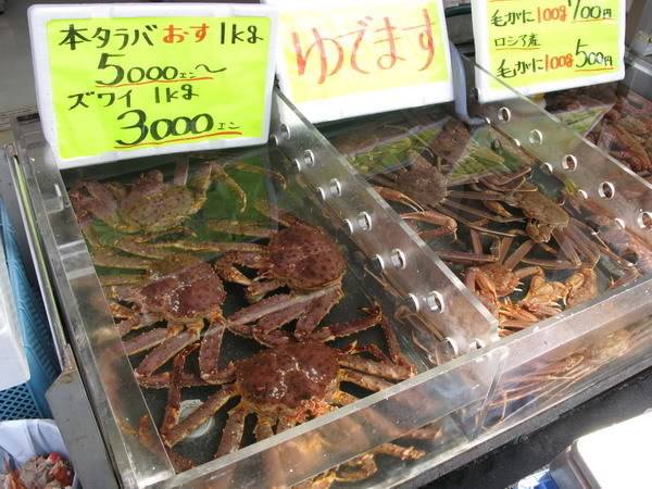 IMG_2687_resize.jpg