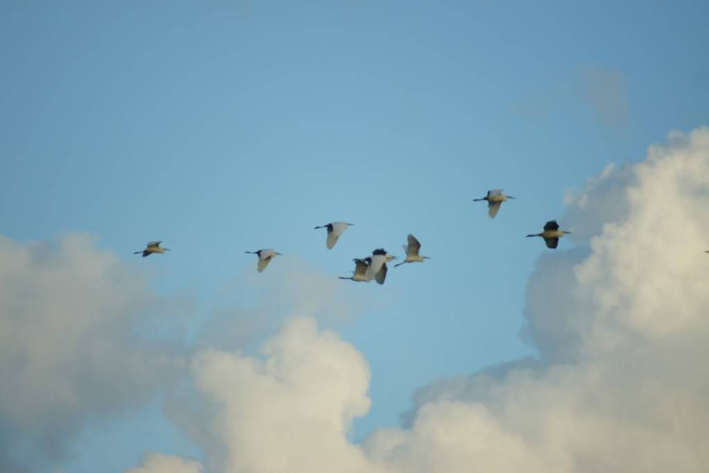 DSC05163.jpg