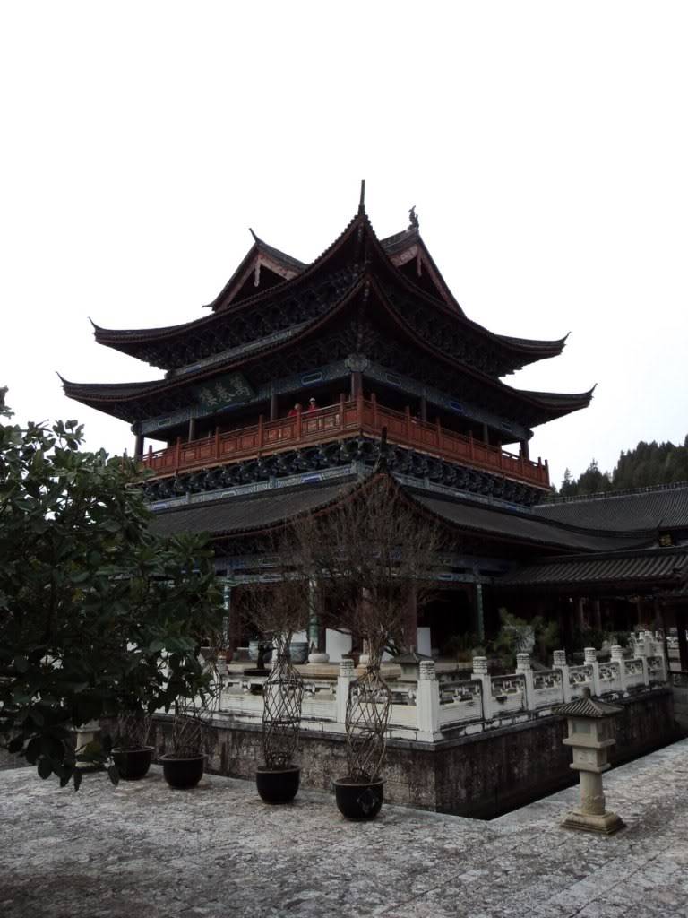 DSC01716.jpg