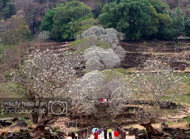 Watphou2.jpg