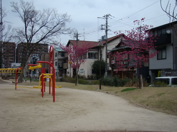 DSC02715_resize.jpg