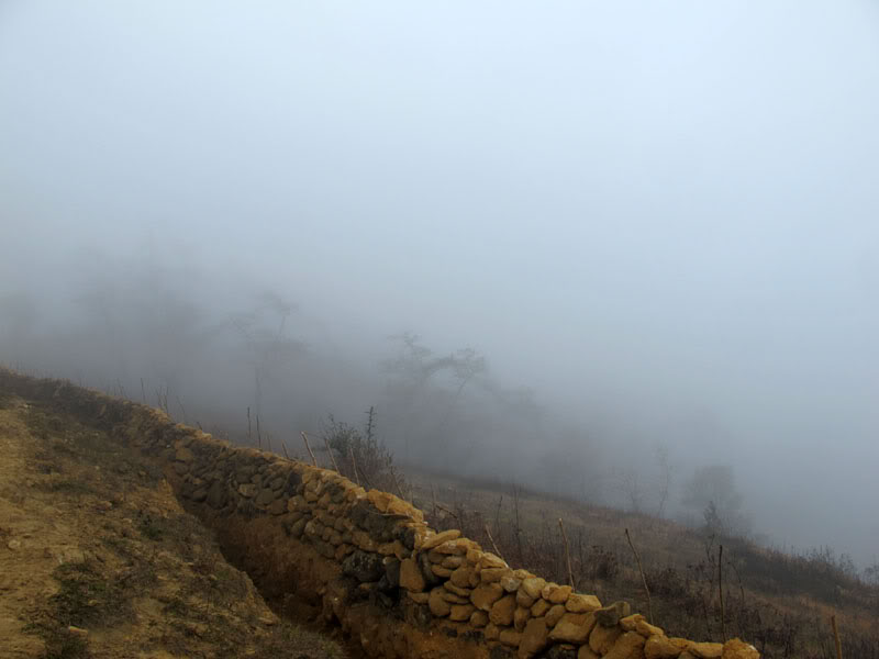 HongNgai2011568.jpg