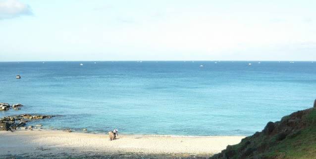 P1020227_resize-1.jpg