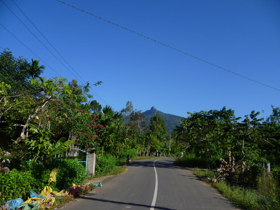 P1050683.jpg