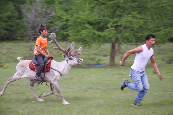 IMG_3479_zpscd36e305.jpg