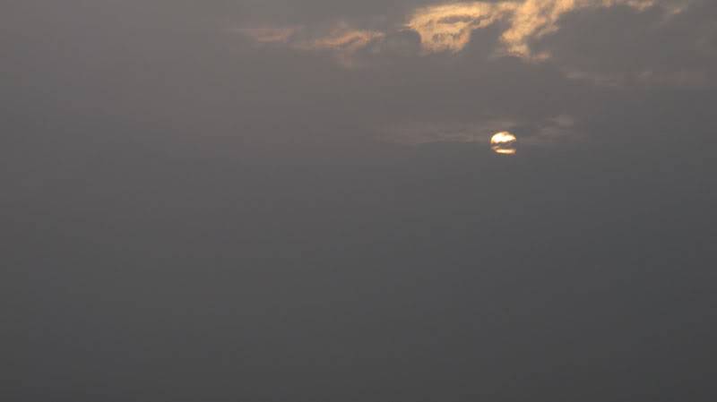 IMG_2345.jpg