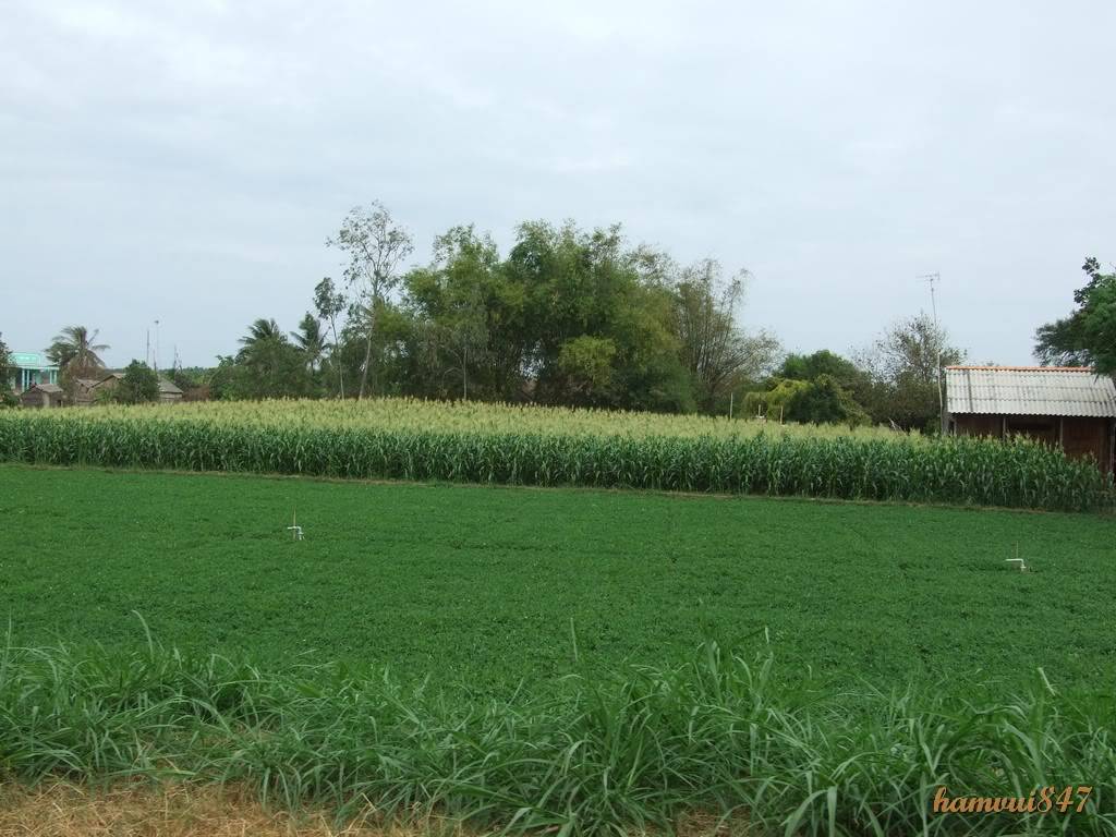 phuot2-1-2010-15.jpg