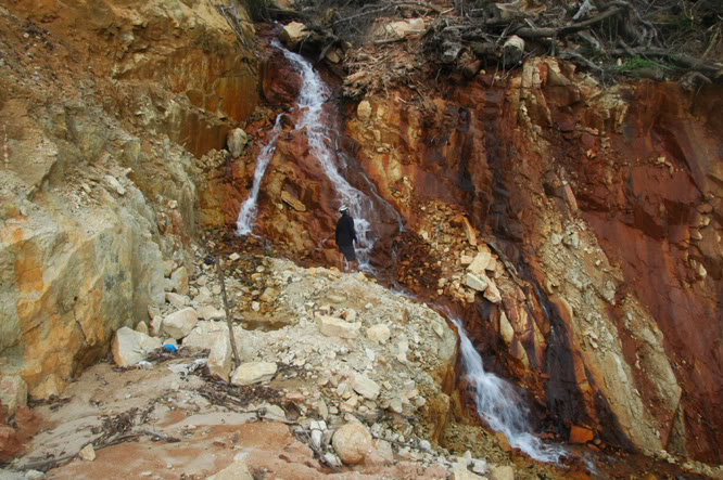 DSC_3614.jpg