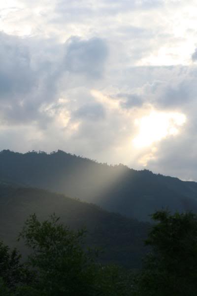 IMG_4823_400x600.jpg