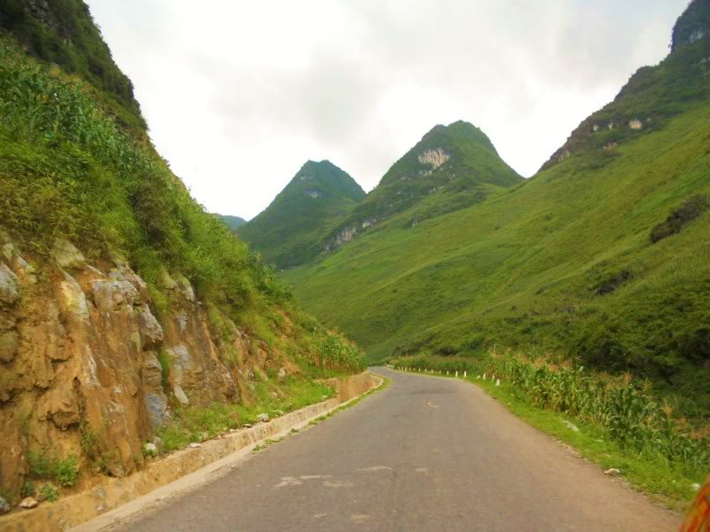 DSCN3901.jpg