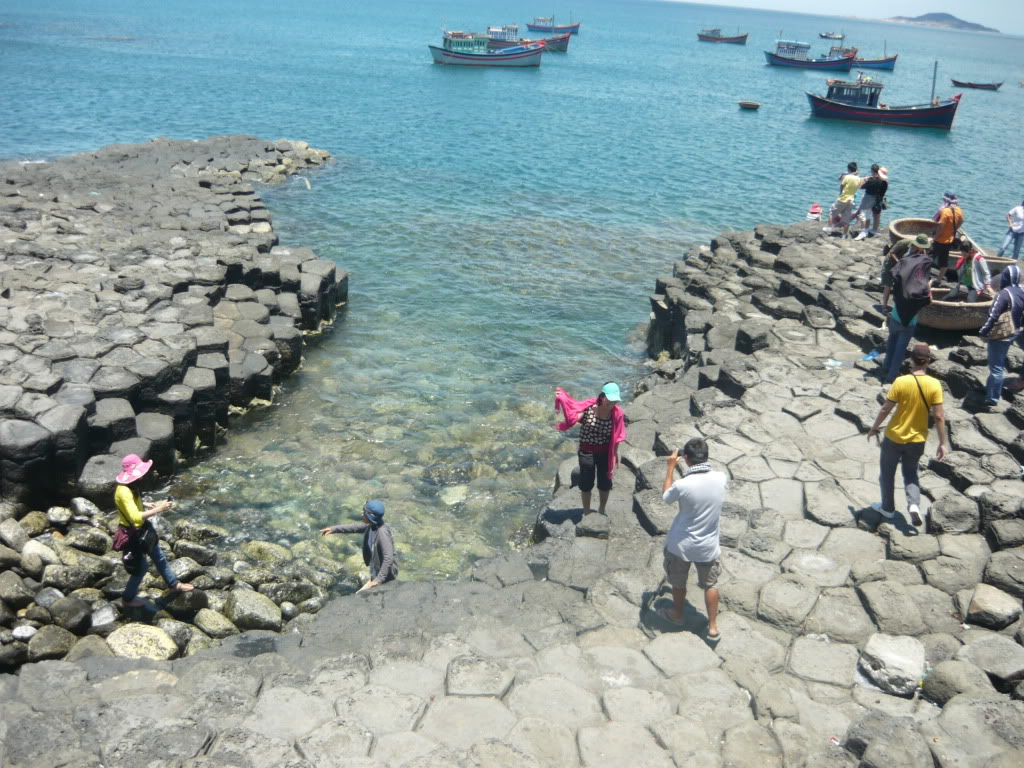 P1110529.jpg