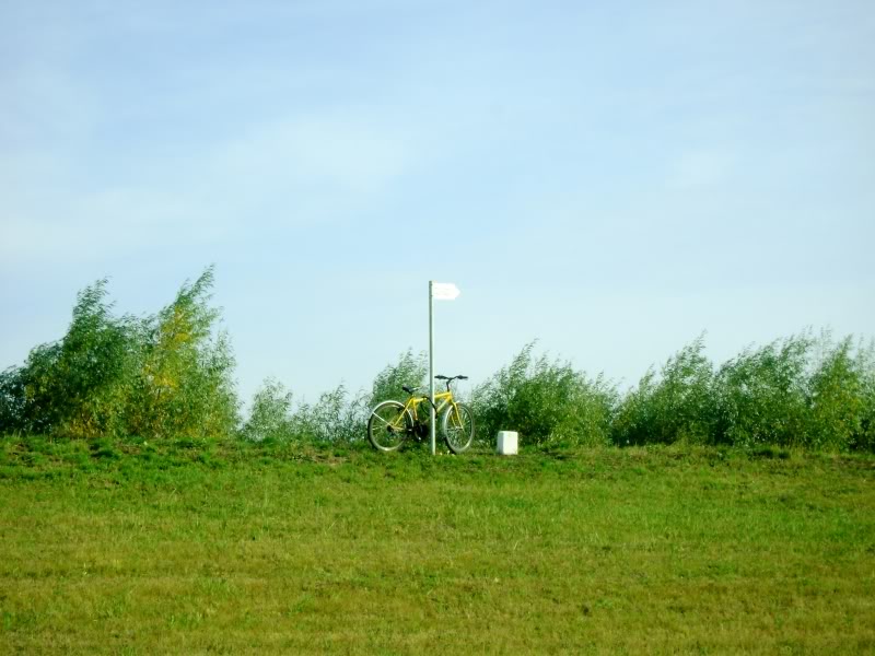 DSC06596.jpg