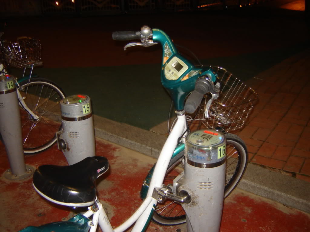DSC08709-1.jpg