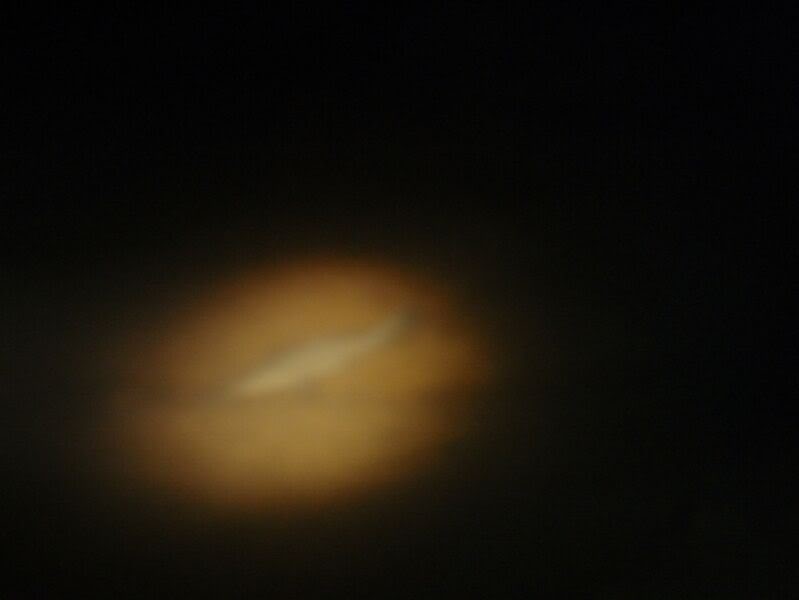 P3020185.jpg