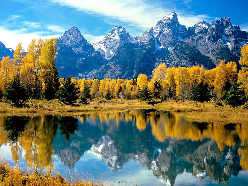 29127309032_715d9451dd_c.jpg