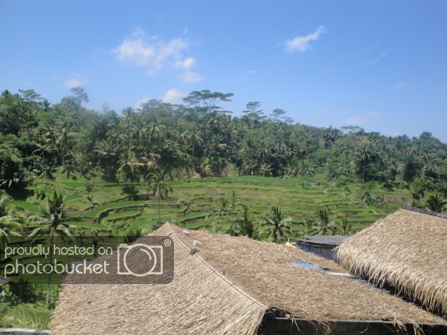 DSC07748_zps5dae2569.jpg