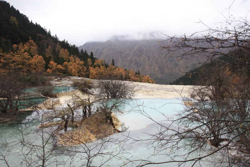 hoanglong140.jpg