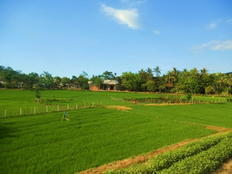 DSCN2695.jpg