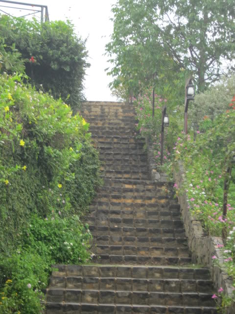 IMG_7228.jpg