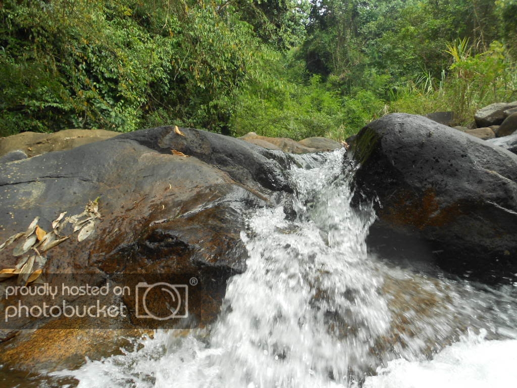 DSCN9587.jpg